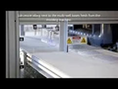 FlexiDyne Pro Video FlexiDyne Pro Video